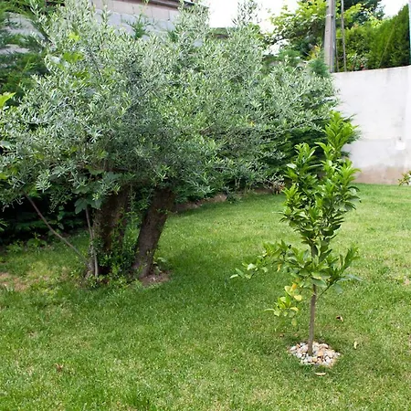 Gondoriz-house Villa *