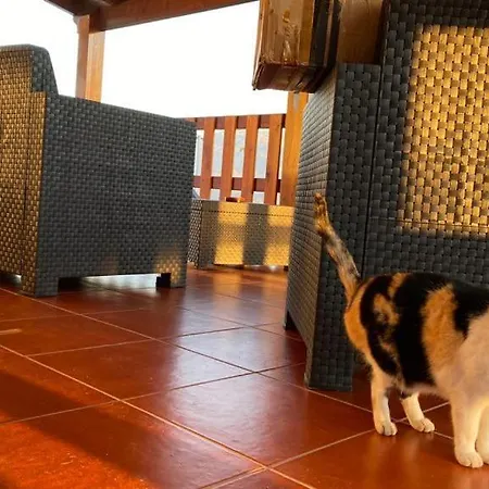 Gondoriz-house Terras de Bouro