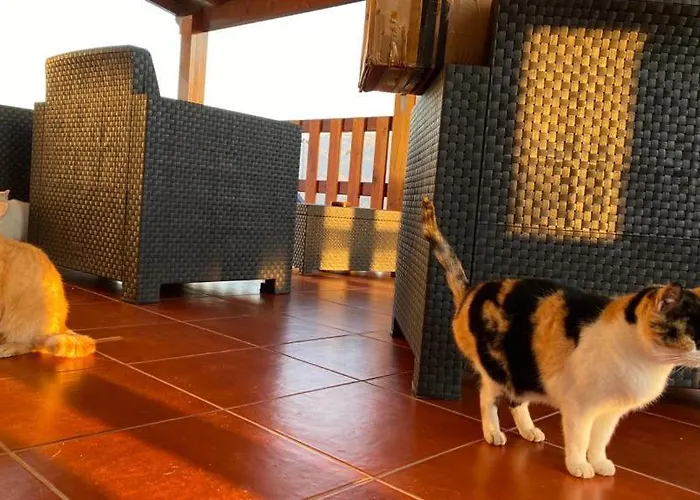 Gondoriz-house Terras de Bouro