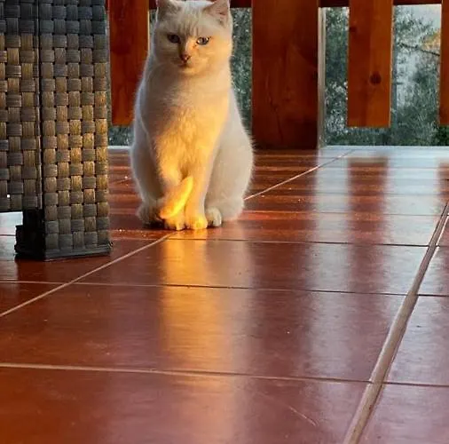 Gondoriz-house Villa